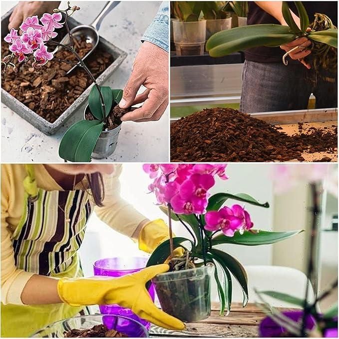 Orchid plant seeds-Potting Mixture