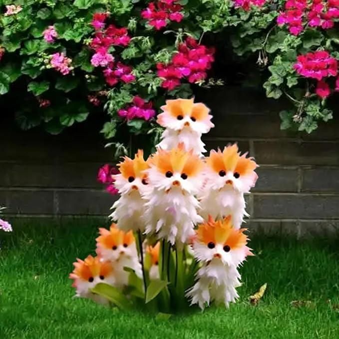 Aromatic Flower Seeds + Free Organic Pot Mix