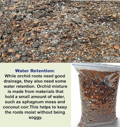 Orchid plant seeds-Potting Mixture