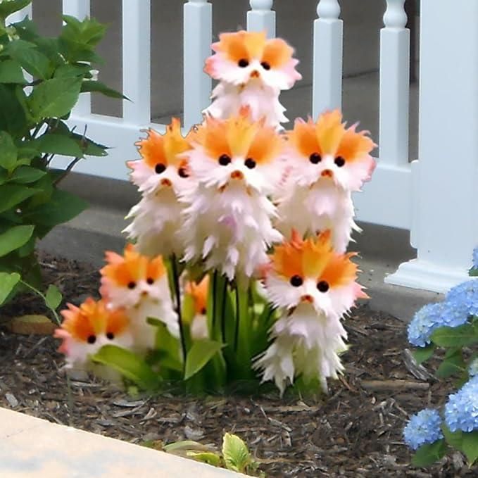 Aromatic Flower Seeds + Free Organic Pot Mix