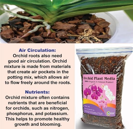 Orchid plant seeds-Potting Mixture