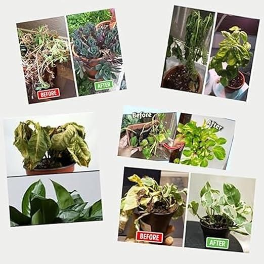 Humic Acid (Potassium Humate Flakes) – Plant Growth Booster
