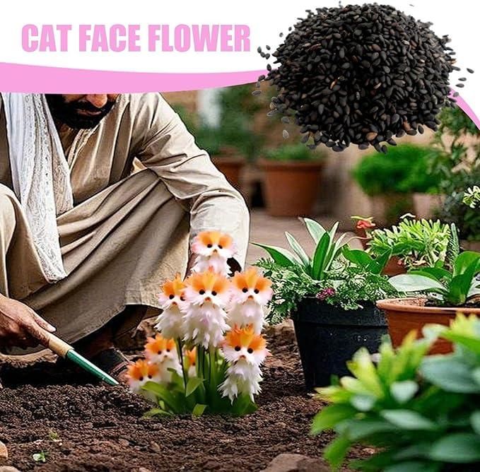Aromatic Flower Seeds + Free Organic Pot Mix