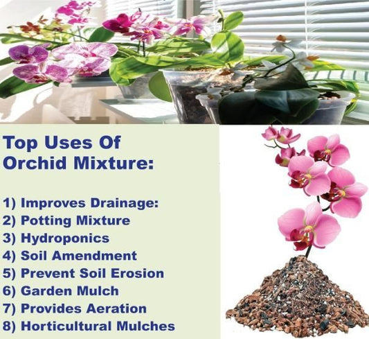 Orchid plant seeds-Potting Mixture