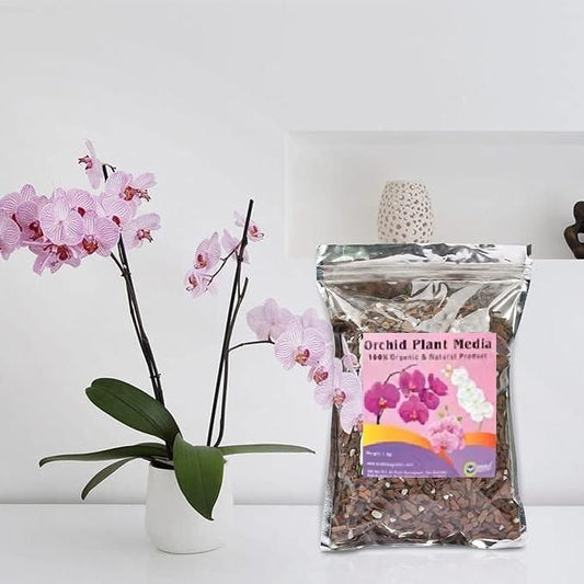Orchid plant seeds-Potting Mixture